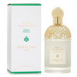 Guerlain Aqua Allegoria Herba Fresca Eau De Toilette 125ml/4.2oz