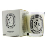 Diptyque Scented Candle - Ambre (Amber) 190g/6.5oz