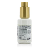 L'Oreal Professionnel Steampod Protecting Concentrate Beautifying Ends (For All Hair Types) 50ml/1.7oz