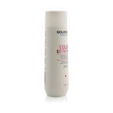 Goldwell Dual Senses Color Extra Rich Brilliance Shampoo (Luminosity For Coarse Hair)