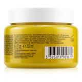 Decleor Eucalyptus Cica-Botanic Relieving Repairing Body Balm (Salon Size) 250ml/8.4oz