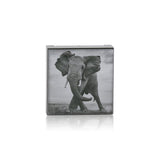 Chantecaille Luminescent Eye Shade - # Elephant (Shimmering Taupe Grey) 2.5g/0.08oz