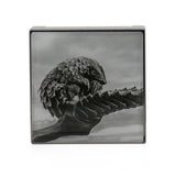 Chantecaille Luminescent Eye Shade - # Pangolin (Dusty Lilac) 2.5g/0.08oz