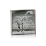 Chantecaille Luminescent Eye Shade - # Giraffe (Burnished Brown) 2.5g/0.08oz