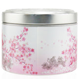 The Candle Company (Carroll & Chan) 100% Beeswax Tin Candle - Sakura