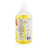 Nesti Dante Dolce Vivere Vegan Liquid Soap - Capri - Orange Blossom, Frosted Mandarine & Basil