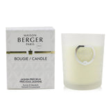 Lampe Berger (Maison Berger Paris) Scented Candle - Precious Jasmine
