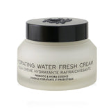 Bobbi Brown Hydrating Water Fresh Cream 50ml/1.7oz