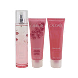 Caudalie Rose De Vigne Christmas Coffret: Fresh Fragrance Spray 50ml + Shower Gel 50ml + Body Lotion 50ml (Pink Line)