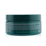 Aveda Botanical Repair Intensive Strengthening Masque - # Rich