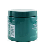 Aveda Botanical Repair Intensive Strengthening Masque - # Rich 450ml/15.4oz