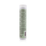 Paul Mitchell Clean Beauty Anti-Frizz Shampoo 250ml/8.5oz