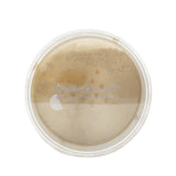 DermaQuest DermaMinerals Buildable Coverage Loose Mineral Powder SPF 20 - # 3W 11.4g/0.4oz