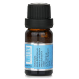 Carroll & Chan Fragrance Oil - # Ocean Mist 10ml/0.3oz