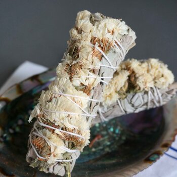 diseno Living California White Sage Sinuata Bundle - 4" Vacuum Packed (Own Farm In California Direct Import)  Fixed Size
