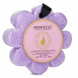 Spongelle Wild flower Soap Sponge - French Lavender (Purple)  1pc
