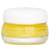 Darphin Eclat Sublime Aromatic Vetiver Revitalizing Mask  50ml/1.7oz