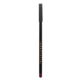 Anastasia Beverly Hills Lip Liner - # Raisin  1.49g