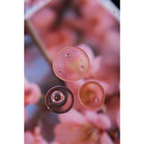 Nak Nourish Hair Oil 100ml