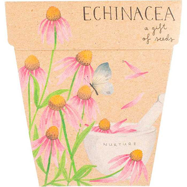 Sow 'n Sow Gift of Seeds Echinacea