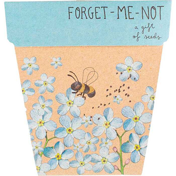Sow 'n Sow Gift of Seeds Forget Me Not