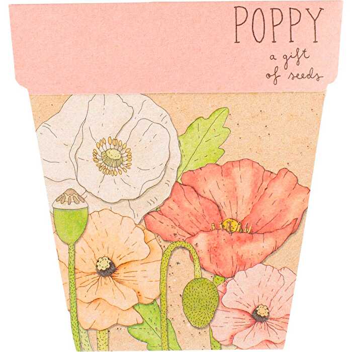 Sow 'n Sow Gift of Seeds Poppy