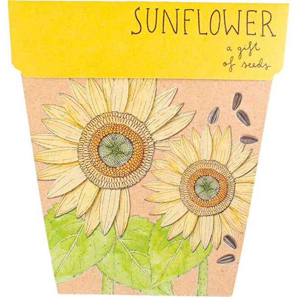 Sow 'n Sow Gift of Seeds Sunflower