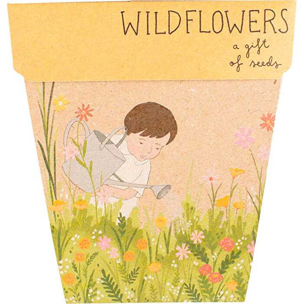 Sow 'n Sow Gift of Seeds Wildflowers