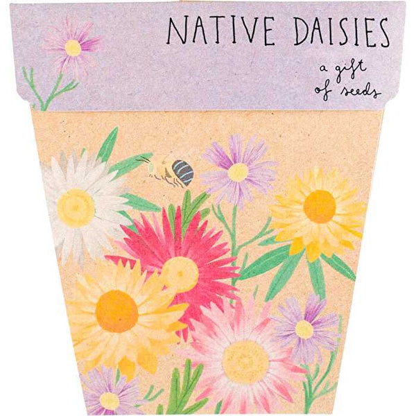 Sow 'n Sow Gift of Seeds Daisies Native