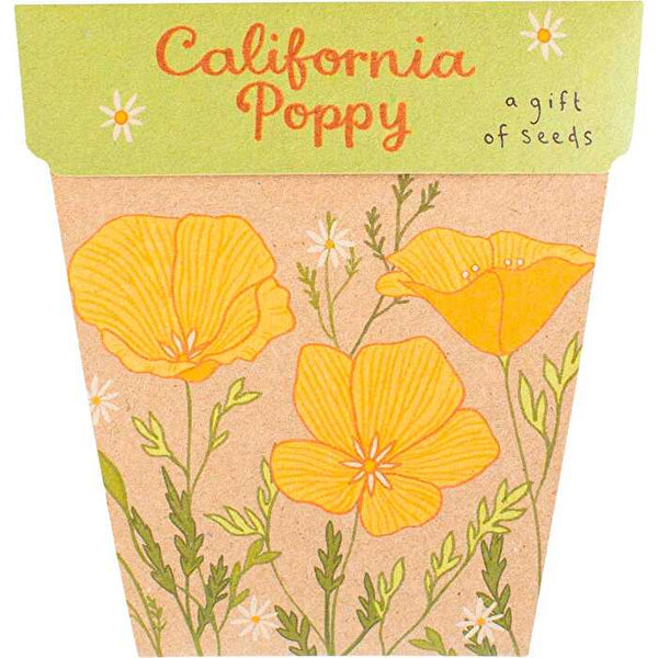 Sow 'n Sow Gift of Seeds California Poppy