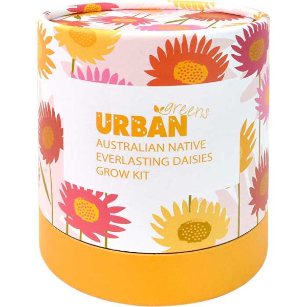 Urban Greens Australian Native Grow Kit Everlasting Daisies
