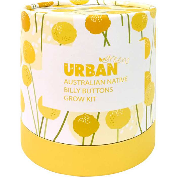 Urban Greens Australian Native Grow Kit Billy Buttons