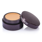 Laura Mercier Secret Concealer - #1  2.2g/0.08oz