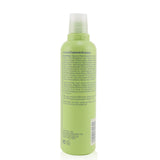 Aveda Be Curly Shampoo 