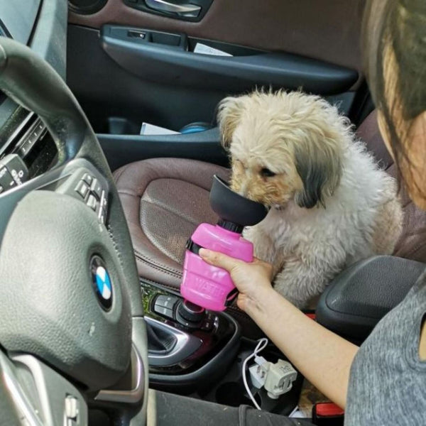 LESOTC LESOTC Portable Pet Water Bottle for Dogs - Pink