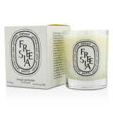 Diptyque Scented Candle - Freesia  190g/6.5oz