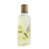 Thymes Olive Leaf Body Wash  270ml/9.25oz