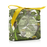 Nesti Dante Gli Officinali Soap - Ivy & Clove - Therapeutic & Relaxing 