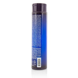 Joico Color Balance Blue Shampoo (Eliminates Brassy/Orange Tones on Lightened Brown Hair) 