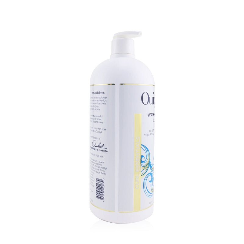 Ouidad Water Works Clarifying Shampoo (Curl Essentials) 