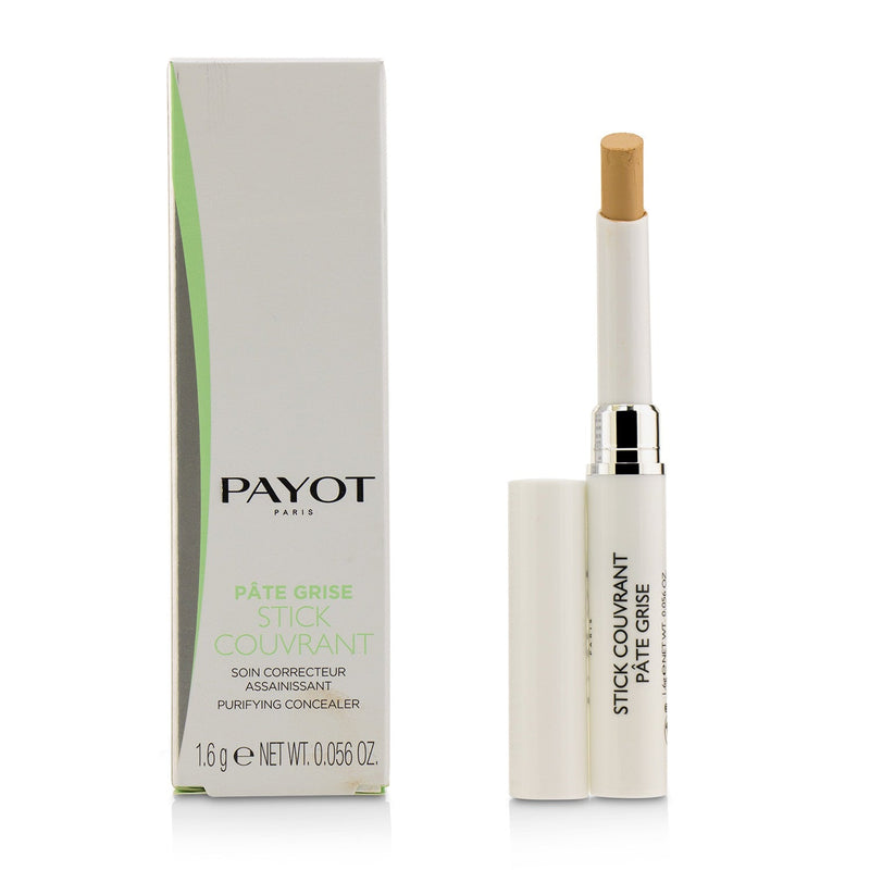 Payot Pate Grise Stick Couvrant Purifying Concealer 