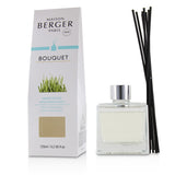 Lampe Berger (Maison Berger Paris) Cube Scented Bouquet - Fresh Green Grass 