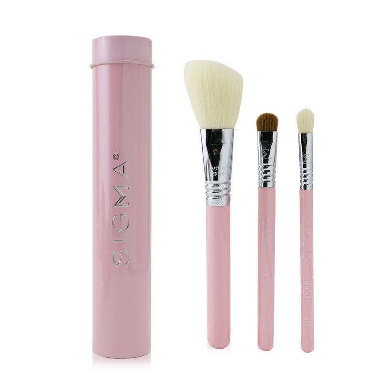 Sigma Beauty Essential Trio Brush Set - # Pink  3pcs+1 Tin