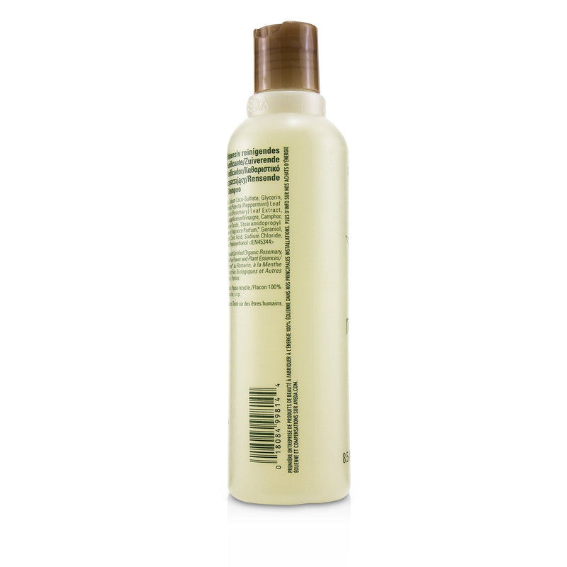 Aveda Rosemary Mint Purifying Shampoo 