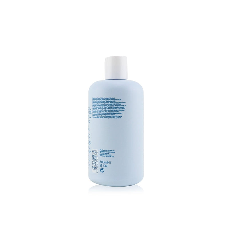 Label.M Anti-Frizz Mask (Ultra-Conditioning For Longer-Lasting, Frizz-Free and Silky Hair)  500ml/16.9oz