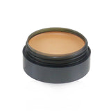 Cinema Secrets Ultimate Corrector Singles - # 606(26) Medium Blue Neutralizer (Box Slightly Damaged)  7g/0..25oz