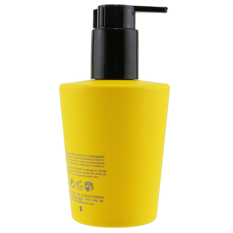 Acqua Di Parma Brightening Shampoo (Grey and White Hair) 