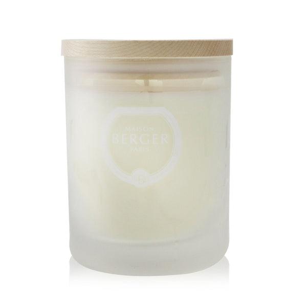 Lampe Berger (Maison Berger Paris) Scented Candle - Aroma D-Stress  180g/6.3oz