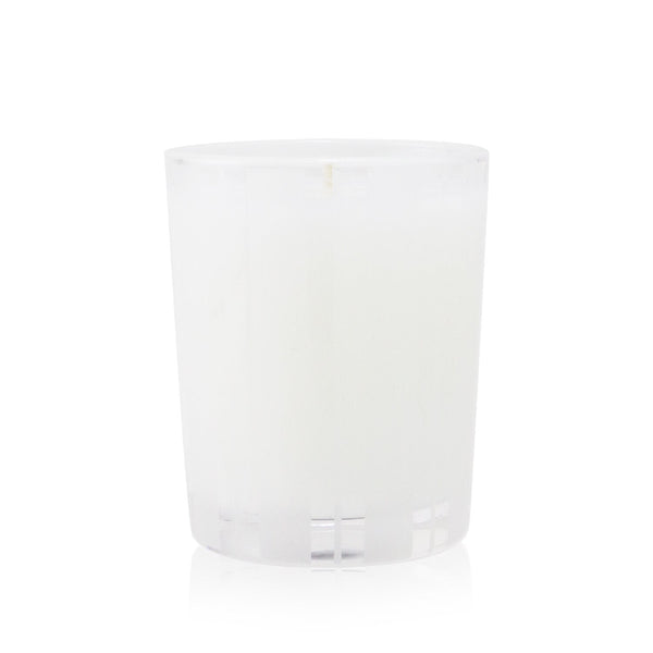 Nest Scented Candle - Amalfi Lemon & Mint 