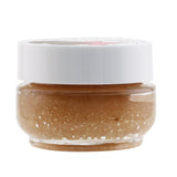 Farmhouse Fresh Lip Polish - Blackberry Wine 